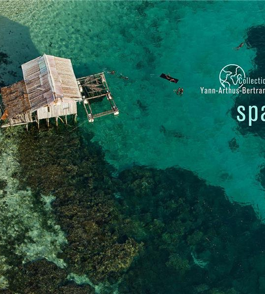 Various Artists - Spa