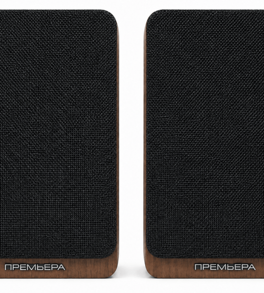Premiera RS-301A WN - многофункциональная активная акустическая система