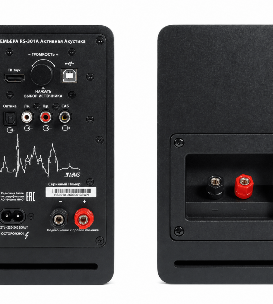 Premiera RS-301A WT - многофункциональная активная акустическая система